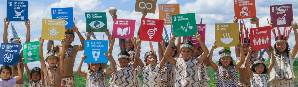 WHY IS IT IMPORTANT TO MEASURE THE SDGS?