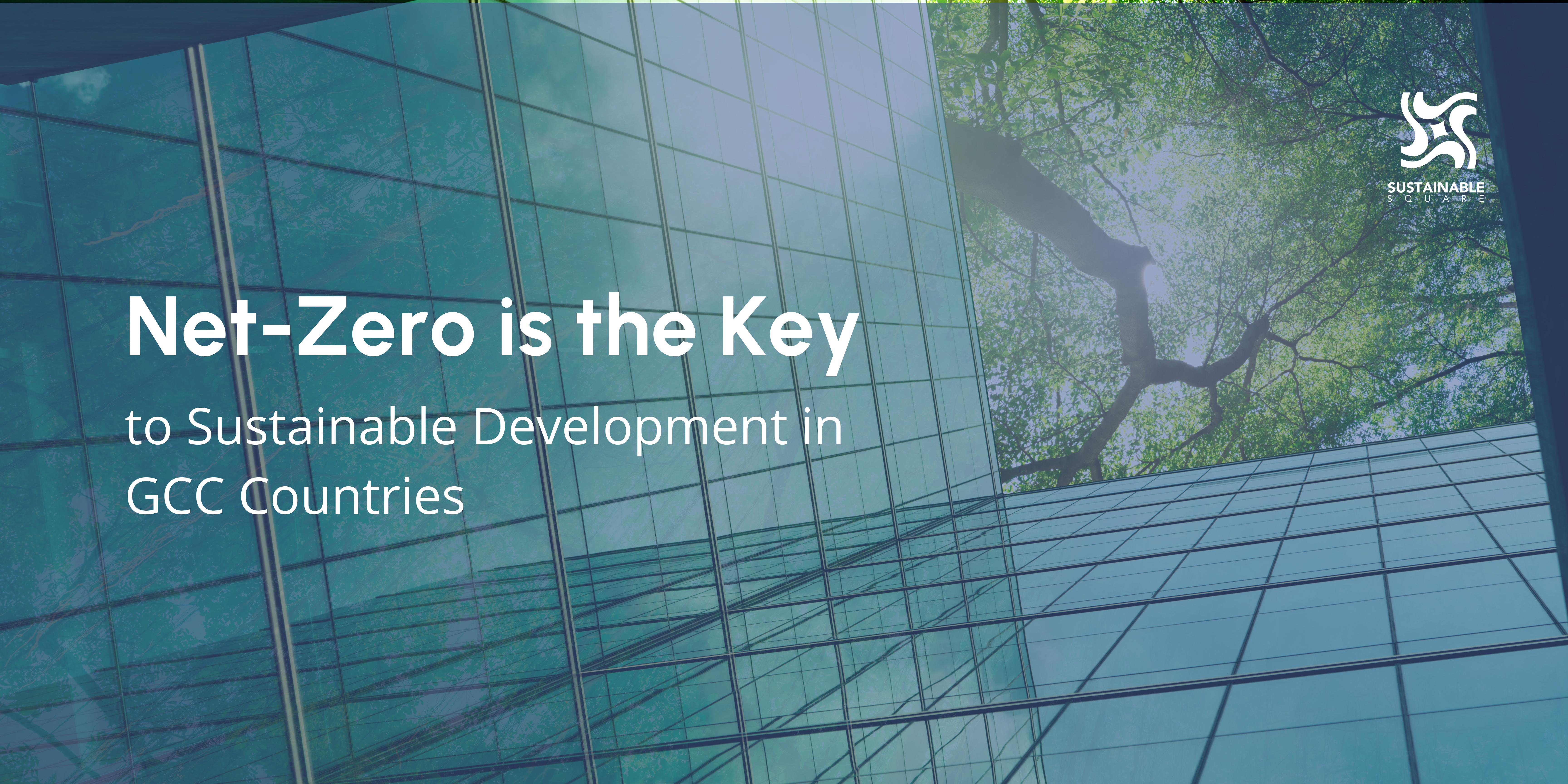 Why Net-Zero is the Key to Sustainable Development in GCC Countries